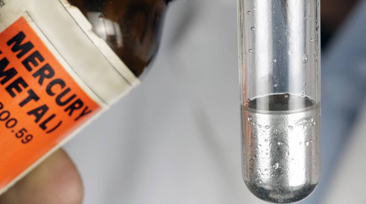 Effects of mercury on human health and the environment