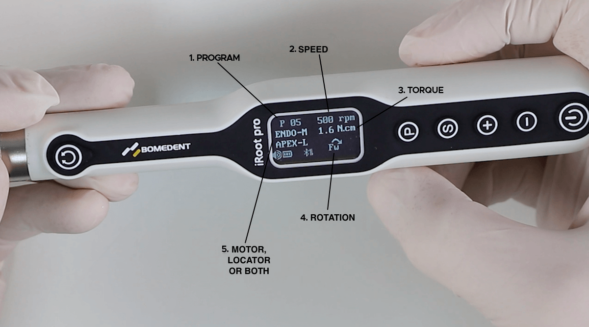 Bodement endodontic motor functionalities