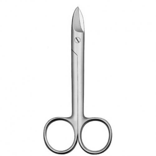 Straight laboratory scissors