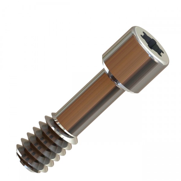 DIRECTIVE PROSTHESIS SCREW TO IMPLANT REGULAR PLATFORM FOR EXTERNAL CONNECTION (5u) 
