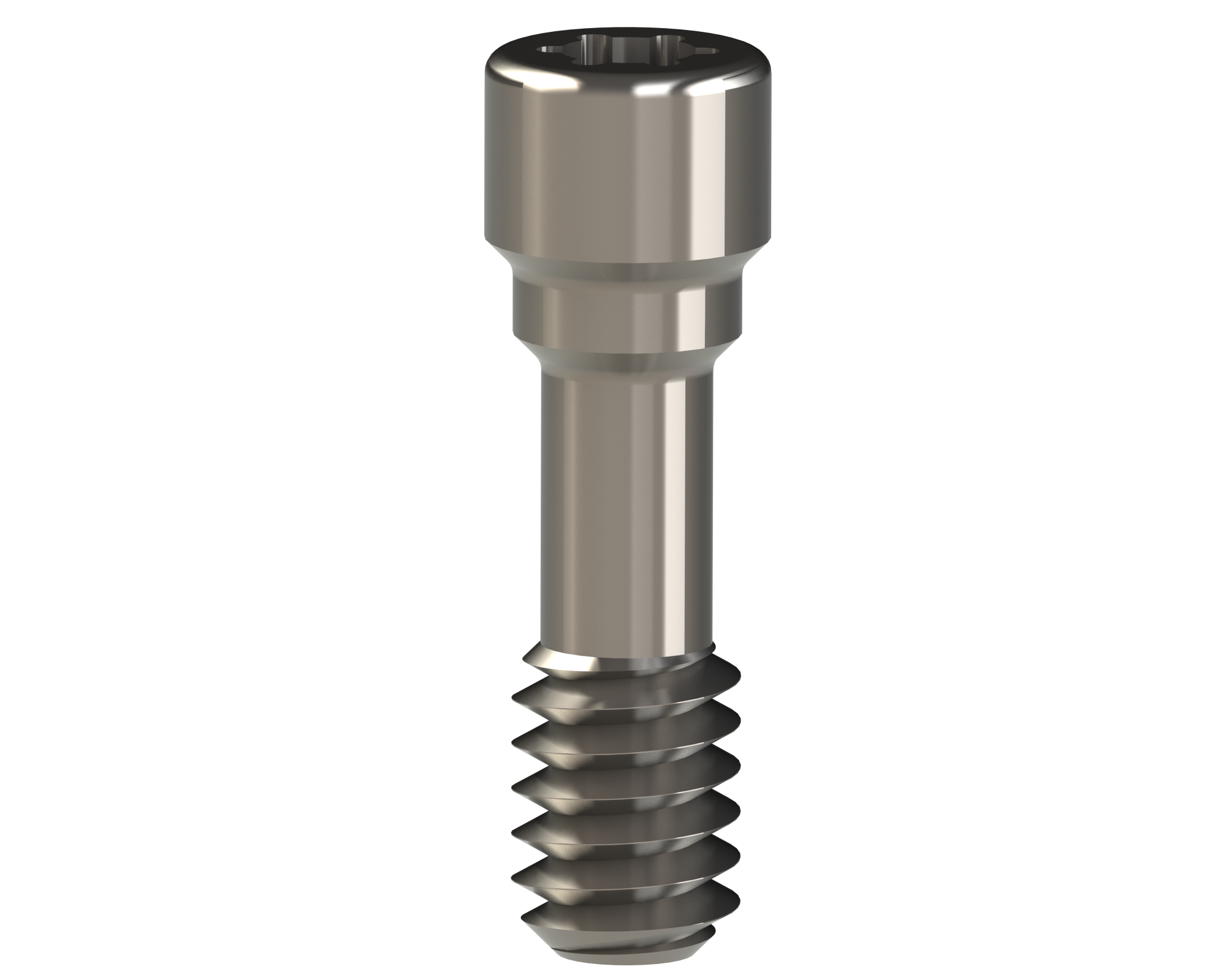 WIDE PLATFORM EXTERNAL CONNECTION PROSTHESIS SCREW (5u) 